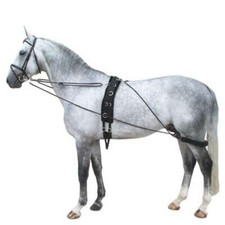 Horse Lunge Training System Aid Develops Top ...