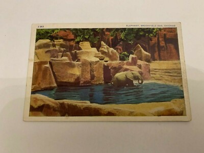 1937 Elephant Brookfield Zoo Illinois Postcard 