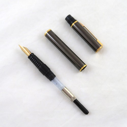 Waterman Fountain Pen Medium Hematite Color - 第 11/11 張圖片