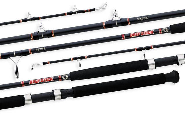 daiwa beefstick 10 ft