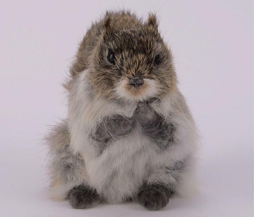 Realistische Simulation Eichhörnchen Spielzeug Kunstfell Tier Puppe Modell Kindergeburtstag Geschenke - Bild 3 von 7