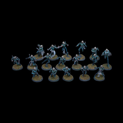 Well Painted Elf Bloodbowl Team 17 Players Fantasy Football