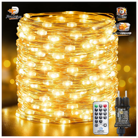 Lichterkette 100M 1000LED Innen Mit Stecker Kupferdraht Dekoration Weihnachten