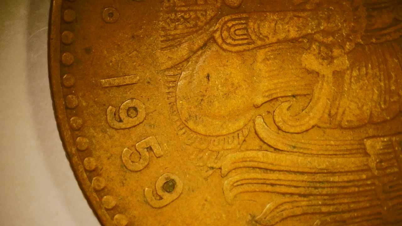 Picture 6 of 12