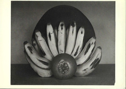 Vintage Postcard, Edward Weston, Arrangement Of Bananas, Art Photograph, unused - Picture 1 of 2