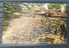 Lookout Mountain Tn-Tennessee Tortoise Shell Rock City Gardens Vintage Postcard