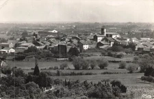 84 SERIGNAN-DU-COMTAT - 83906