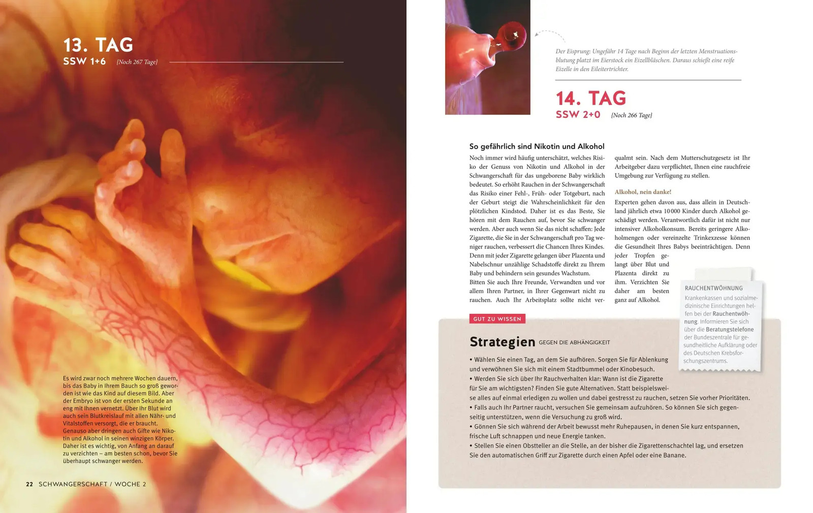Bild 5 von 9