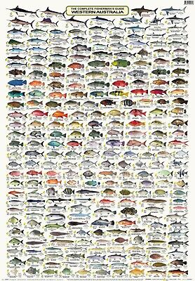 Fish Australia Identification Charts