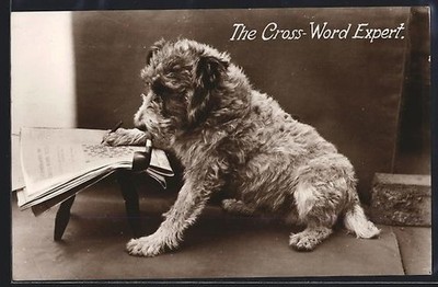Postcard Terrier edited a crossword puzzle 1933 