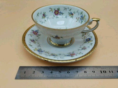 Antique Porcelain Cup and Saucer by Johann Haviland Bavaria - Bild 6 von 7