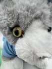 Bild 11 von 11