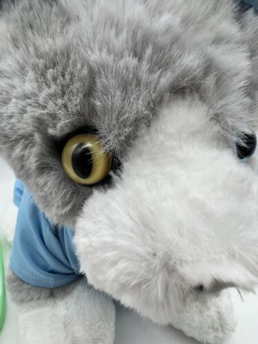 Build-A-Bear Workshop Promise Pets Grey Kitty Cat Plush 2023 11” Doctor Outfit - Picture 11 of 11