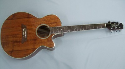 Takamine Ptu 108Kn Safe delivery from Japan | eBay