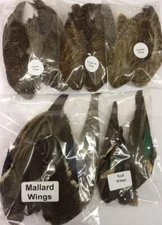 Pair of Wings for Fly Tying - various wing options