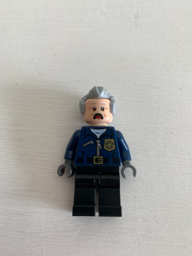 LEGO MARVEL SUPER HEROES FIGURE CAPTAIN STACY (76059) - Picture 2 of 4