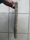 Bild 11 von 12