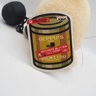 Bild 6 von 11