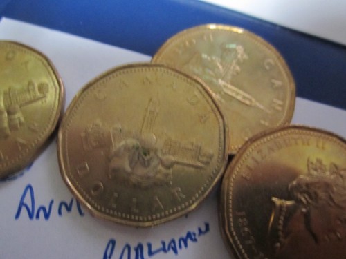 CANADA One Dollar loonie 1988-2002 - Circulated Canadian - 41 Coin Lot - Picture 5 of 8