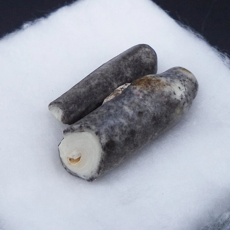 SARIRA PRA TATH MONJE AONG-KU-LI-MA-LA DRAGÓN CUEVA BUDA RELIQUIAS AMULETO TAILANDÉS Nº2 Foto 3 de 4