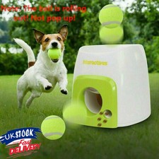 dog ball machine