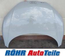 Audi R8 4S Motorhaube Bj: 2016-24        (18846)
