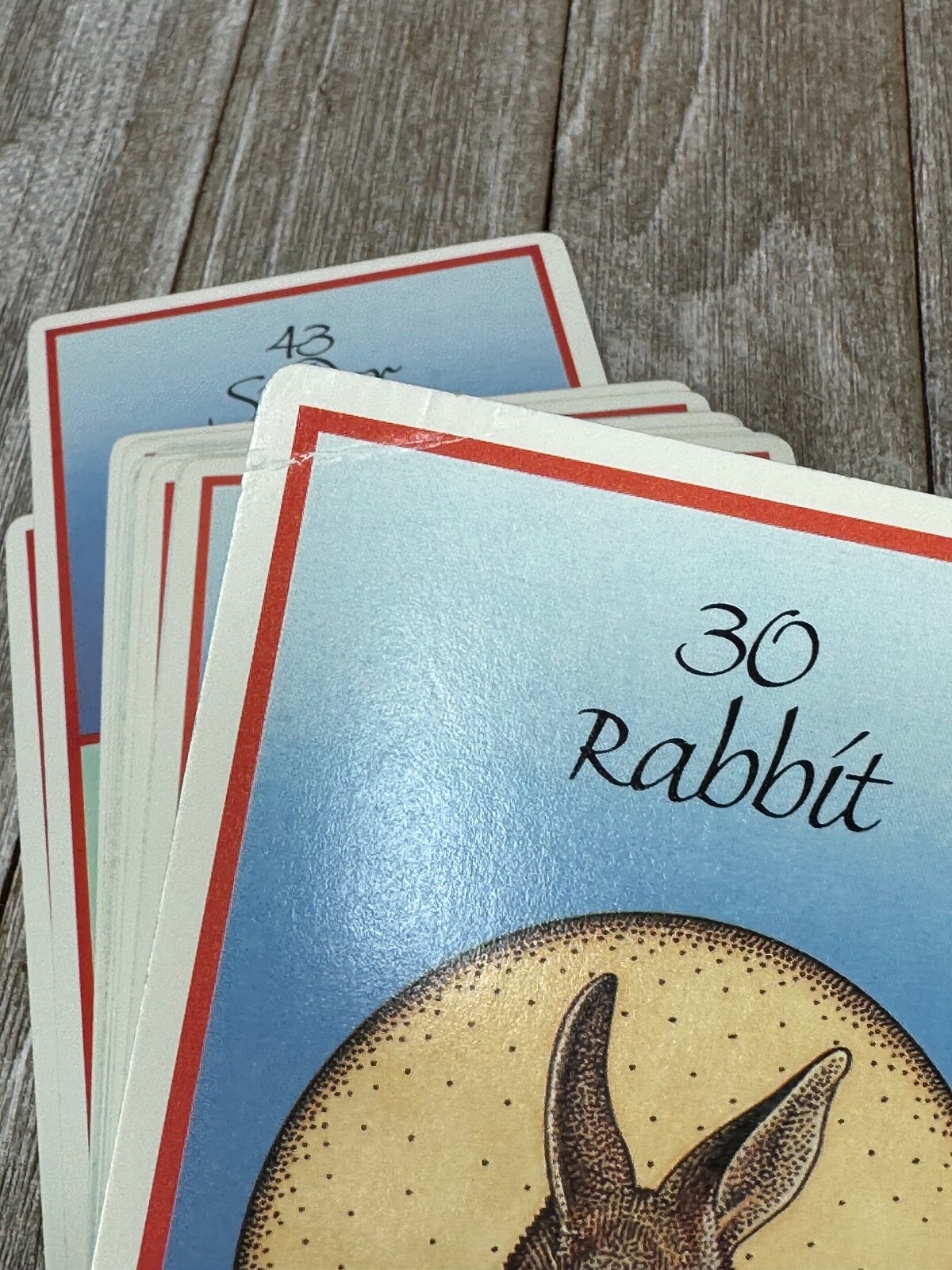 Vintage "Medicine Cards" 1988 CARDS ONLY With 44 Animals Jamie Sams David Carson eBay