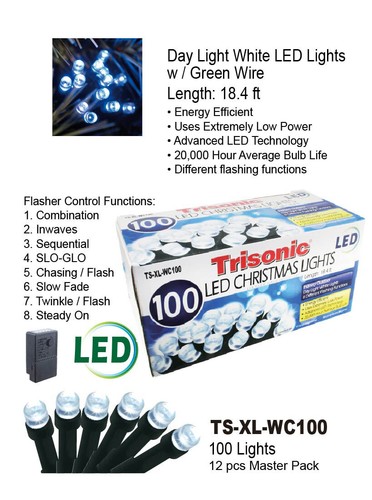 Stringa da Esterno Interno Fata Luci di Natale Decorative 24V 8 Modalità 100 LED NUOVA - Foto 1 di 6