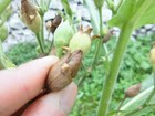 Foto 6 di 10