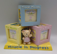Russ Berrie Widdle Ones Miracle in Progress Photo Block Pregnancy 3 9 Months