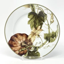 Williams Sonoma Botanical Pumpkin 8 1/2" Salad Plate Autumn Thanksgiving Fall