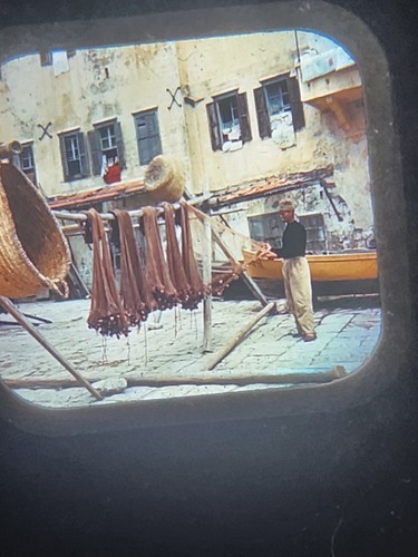 Carrete vintage 1948 Sawyers ViewMaster modelo G. Palestine - Imagen 17 de 20