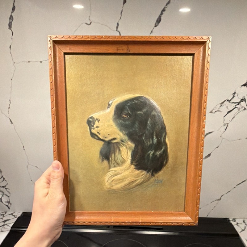 Vintage Framed 3D Cocker Spaniel Dog Art Litho Alpnarly Lyster 1938 C Moss