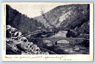 1906 Cumberland Maryland Vintage Postcard The Narrows Bridge Lake River Mountain