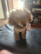 Cuddle Clone Dog
