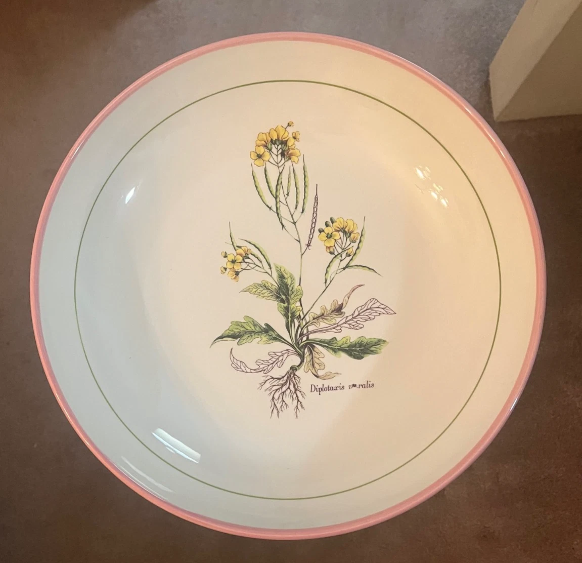La Primula In Italian Art Pottery for sale | eBay