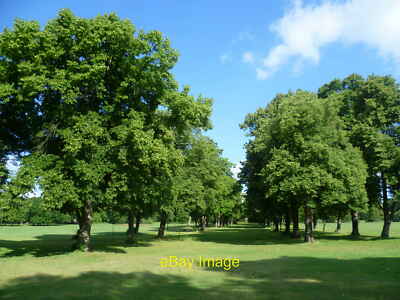Foto 6x4 Allee der Bäume führt zur Stelle von Foots Cray Place Foot c2011