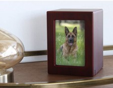 Near  Dear Pet Memorials MDF Pet Photo Cremation Urn Cherry Finish - 85 ci