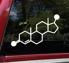 Testosterone Molecular Compound Vinyl Decal V2 - C19H28O2 Chemical Structure