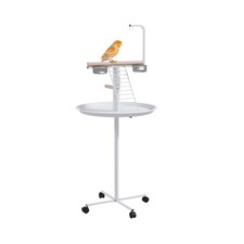 PawHut Bird Stand, Parrot Stand with Wheels, Perches, Stainless Steel Feed Bo...