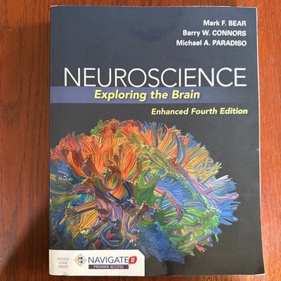 Neuroscience : Exploring the Brain by Barry Connors, Mark Bear and Michael A....