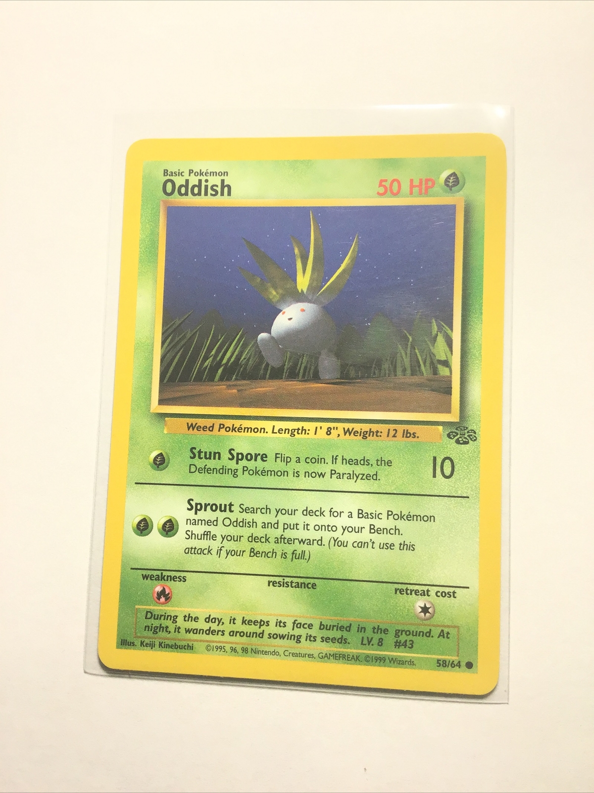ODDISH - 58/64 - Jungle - Pokemon Card - LP