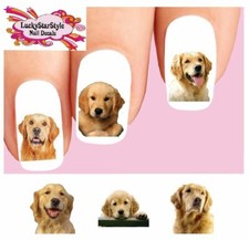 Waterslide Dog Nail Decals Set of 20 - Golden Retriever Assorted