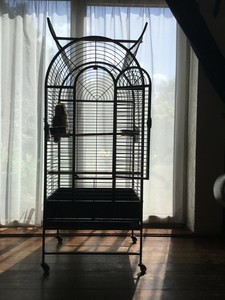 parrot cage for sale olx