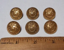6 Antique NYSA New York State Artillery National Guard 7th Regt. Buttons Scovill