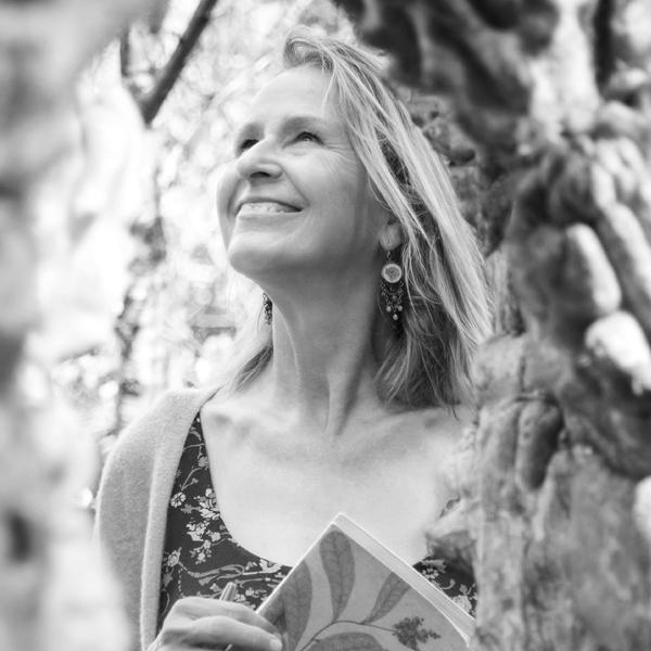 Thumbnail - Drachenreiter 3. Der Fluch Der Aurelia | Cornelia Funke | Buch |