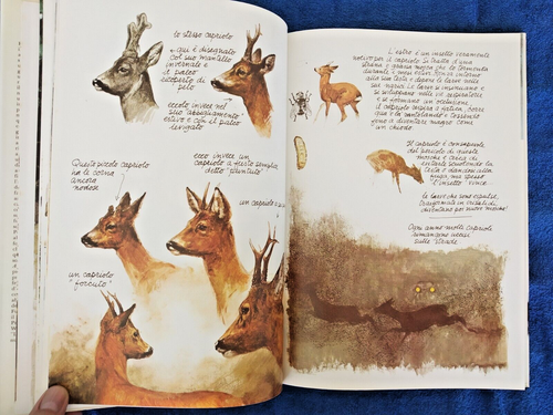 Rien Poortvliet - ANIMALI MIEI AMICI - Rizzoli 1980 (1° ediz.) - OTTIMO - Foto 5 di 6