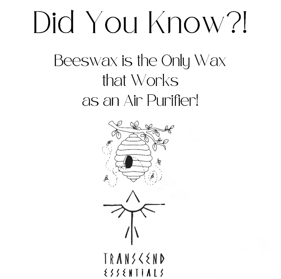 Sultry Sandalwood Organic Beeswax Candle - Image 3 of 3