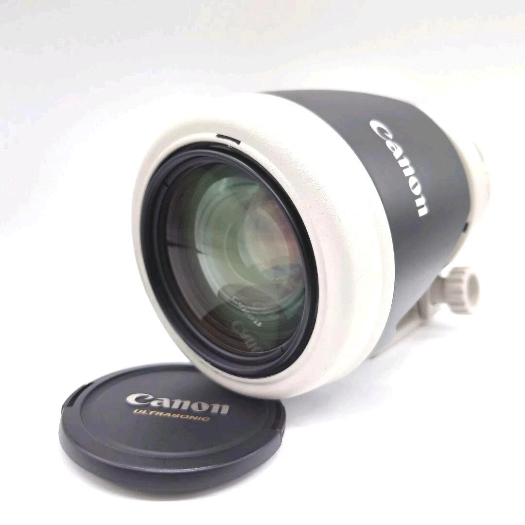 [Top MINT] Canon EF 35-350mm f3.5-5.6 L USM Ultrasonic Zoom Len