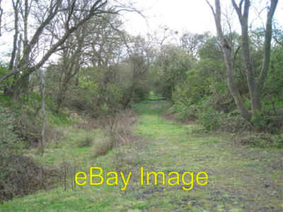 Photo 6x4 Dismantled railway near Hawkeswell Farm Duke End Among the tree c2012